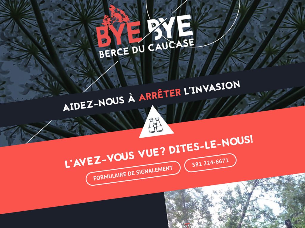 Interface site web Bye Bye Berce du caucase